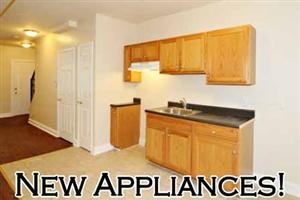 4409 Old York Rd - Photo 2 of 9