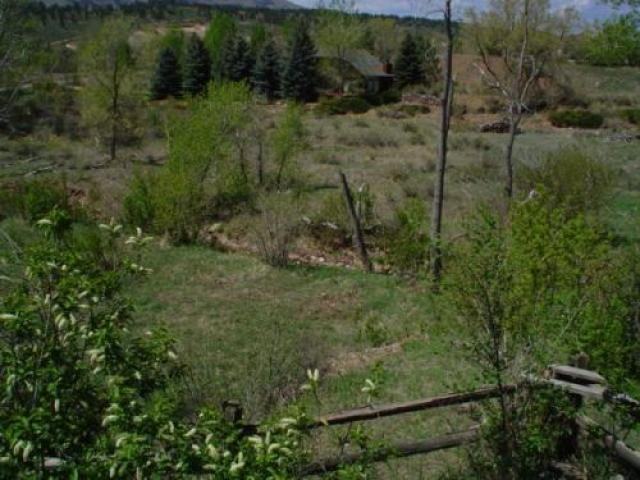 8501 Pfitzer Rd - Photo 2 of 6