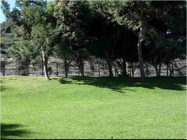 Elan Seacrest Encinitas - Photo 3 of 20