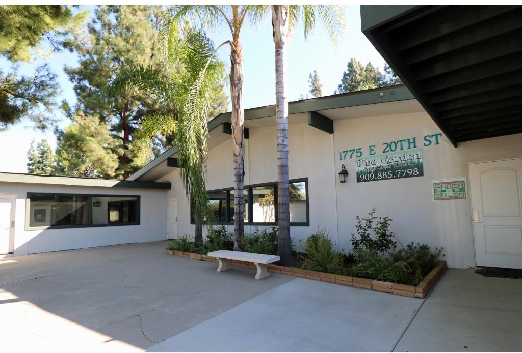 Pine Garden - Photo 2 of 20