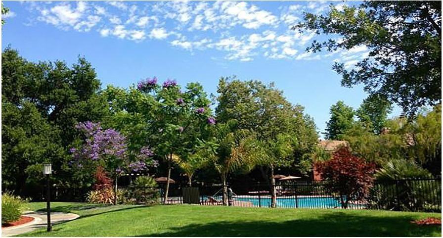 Summerwood Apartments - Photo 2 of 19