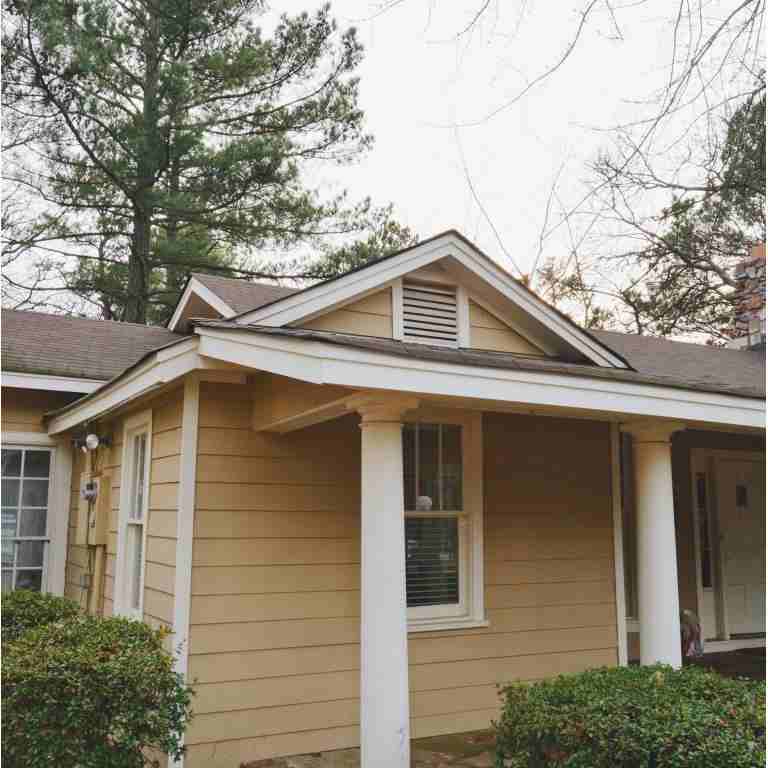 The Canopy - Photo 3 of 19