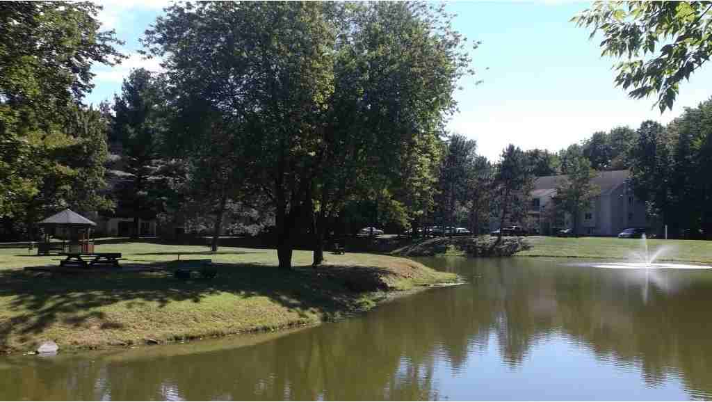 Fox Run Apartments - Photo 3 of 20