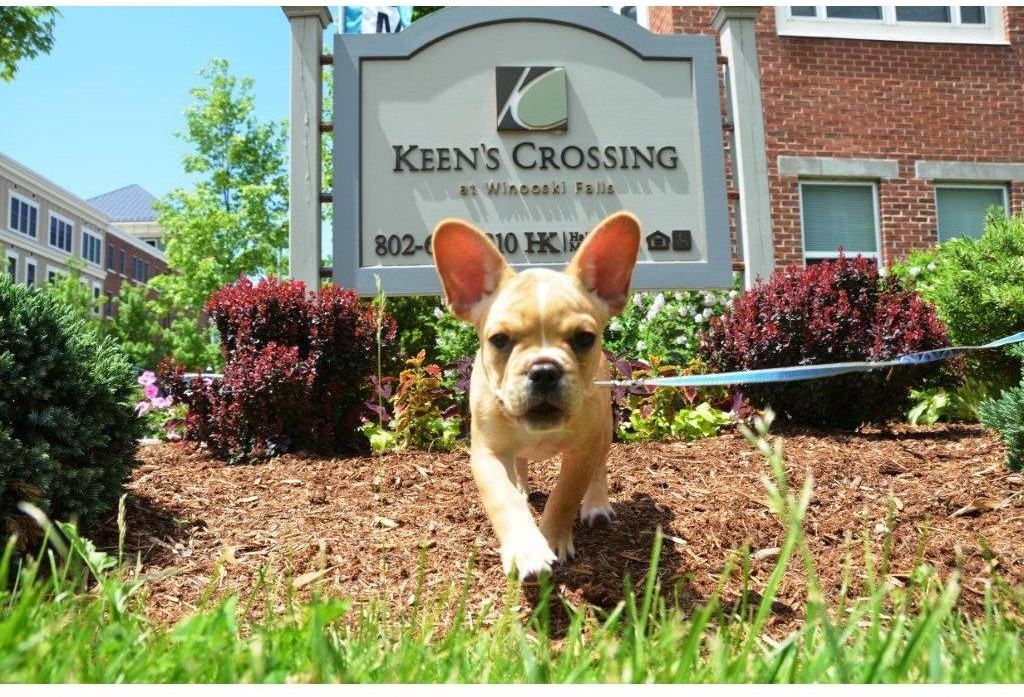 Keen's Crossing - Photo 2 of 20