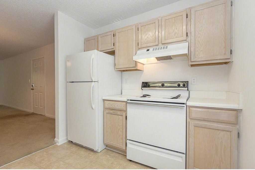 The Lory of Augusta - Photo 3 of 20