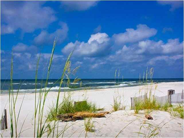 ONE CLUB Gulf Shores - Photo 3 of 20