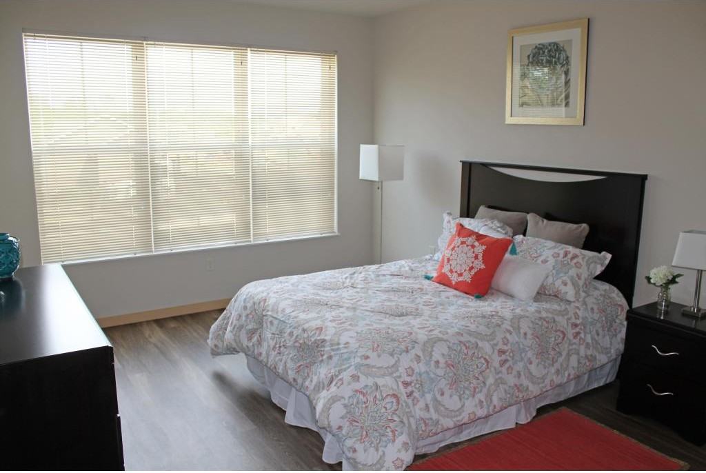 Elan - Photo 3 of 19