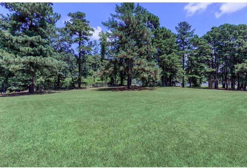 Elliston Place - Photo 3 of 19