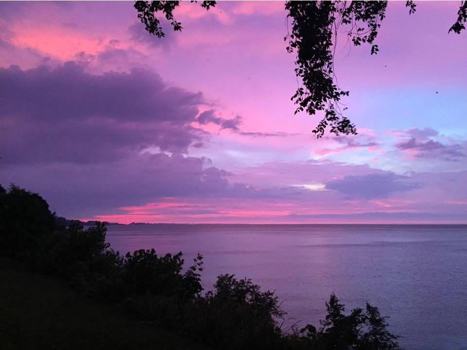 The Shore Club Apartments - Photo 3 of 19