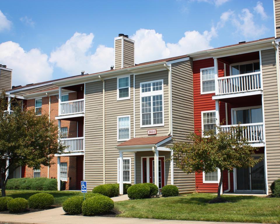 Steeplechase - Photo 3 of 18