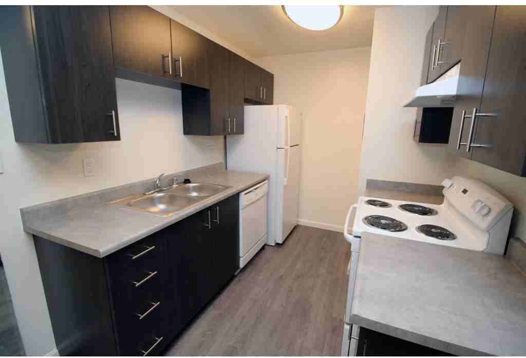 Polo Run - Photo 2 of 11