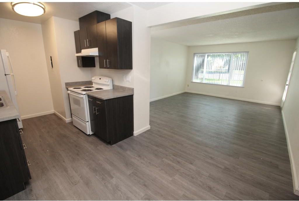 Polo Run - Photo 3 of 11