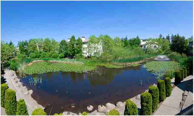 Walden Pond - Photo 3 of 20