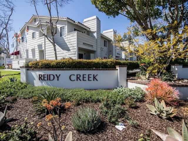 Reidy Creek - Photo 2 of 20