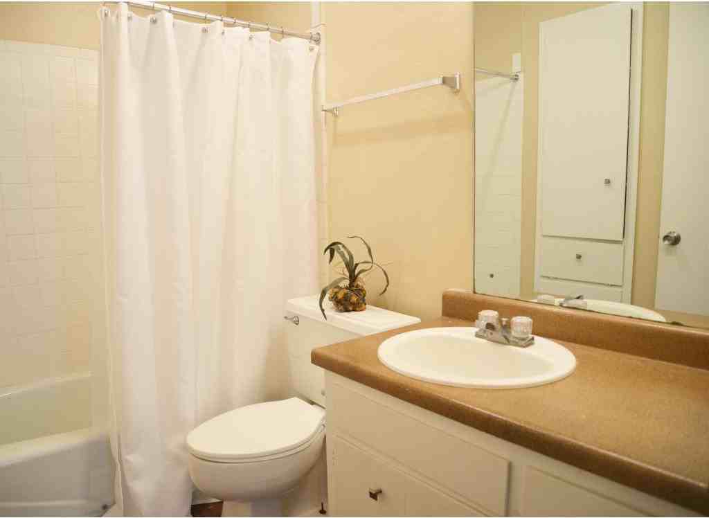 Auburn Creek - Photo 2 of 20