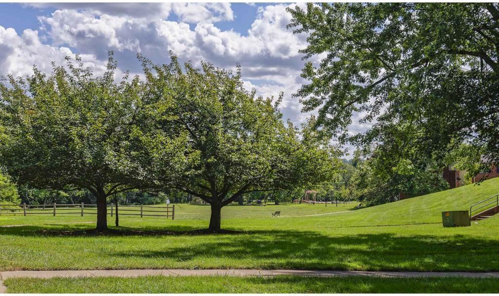 Foxchase Apartments - Photo 3 of 16