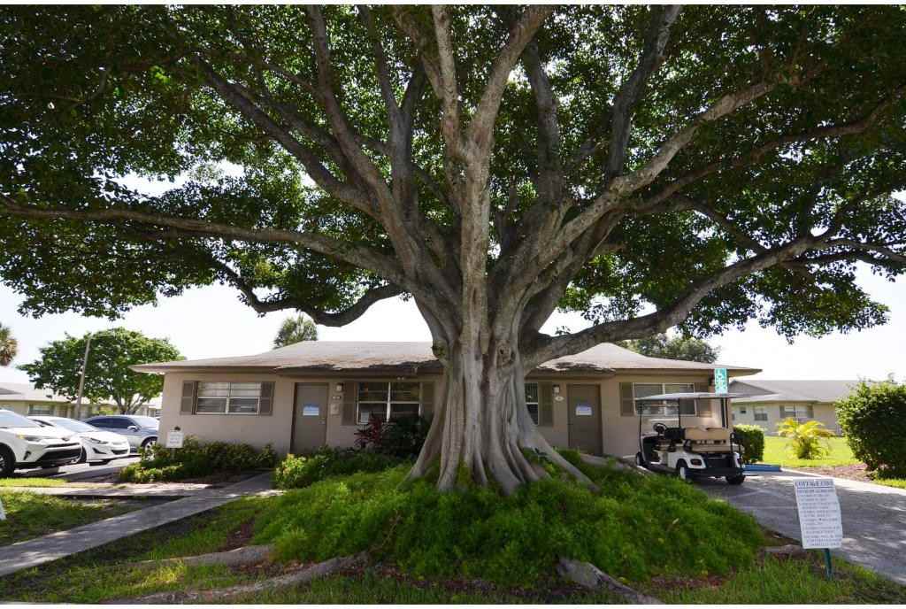 Cottage Cove - Photo 2 of 19