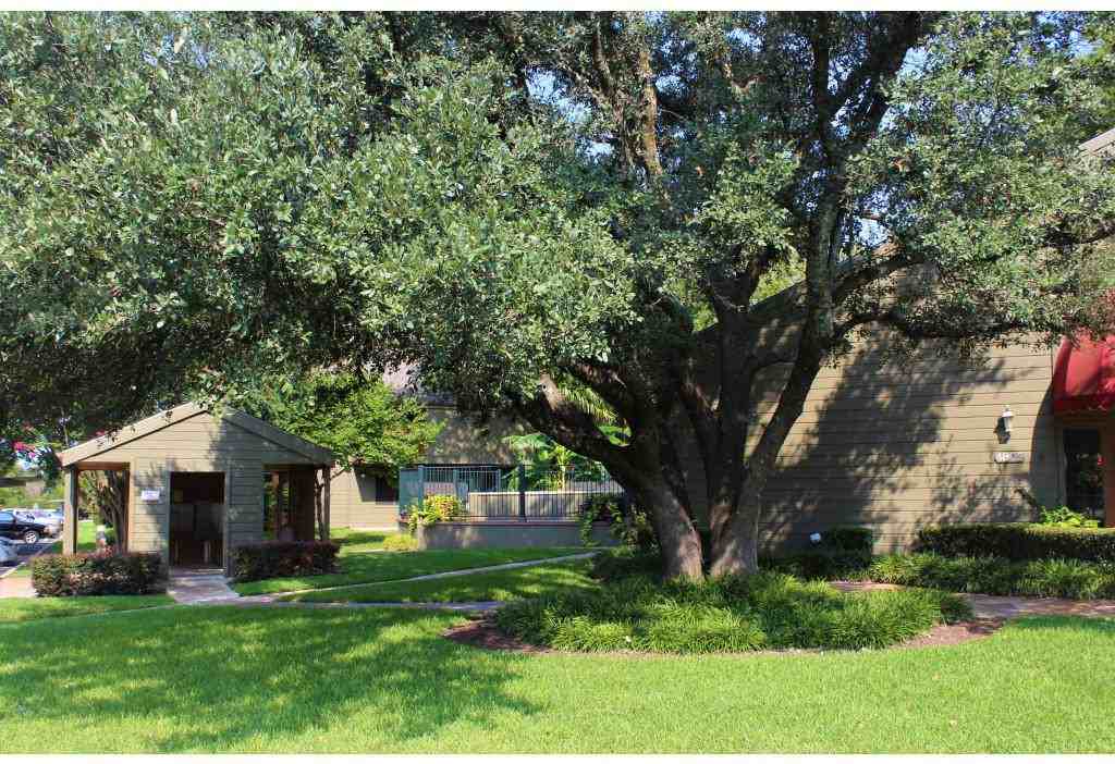 Apple Creek - Photo 3 of 20