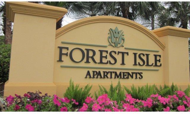 Forest Isle - Photo 2 of 20