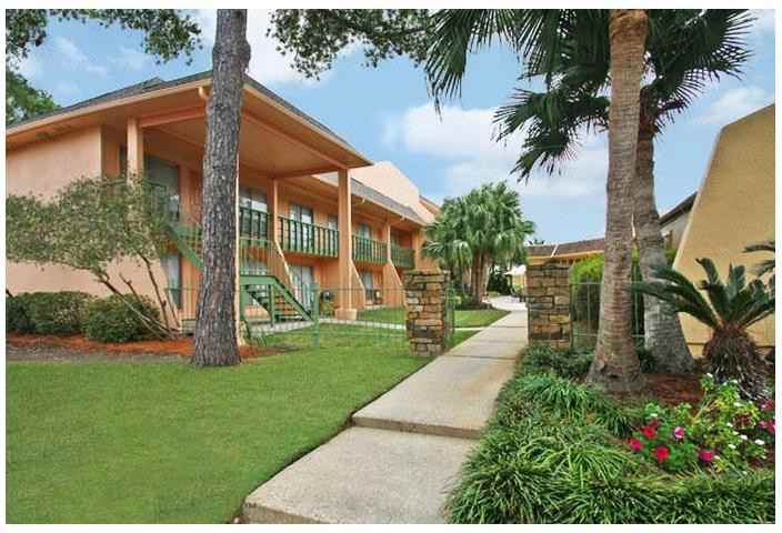 Forest Isle - Photo 3 of 20