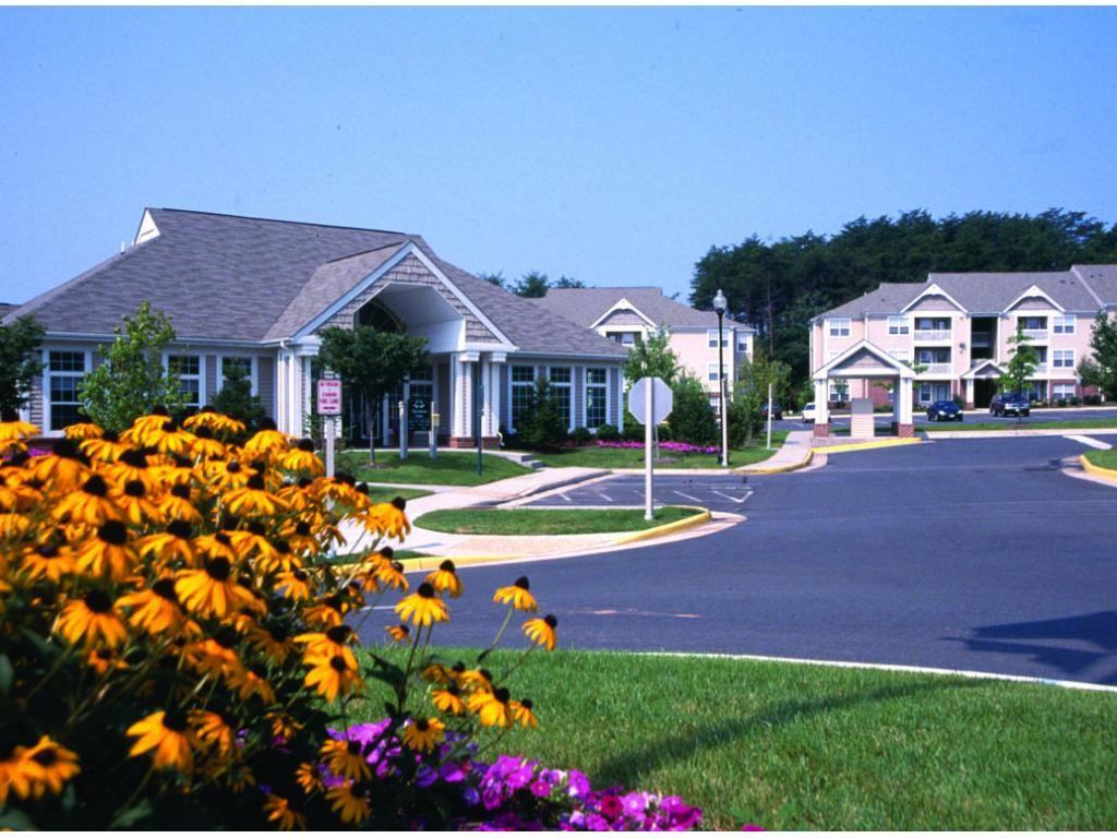 Somerset Pointe - Photo 2 of 20