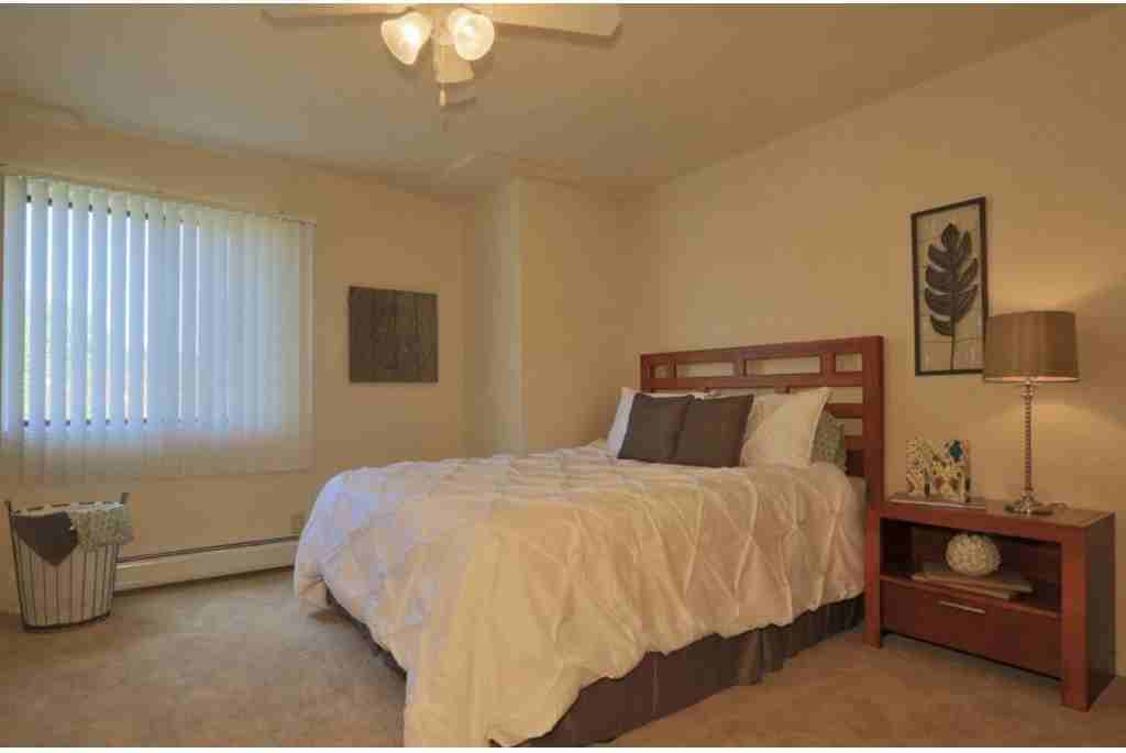 Nemoke Trails - Photo 3 of 19