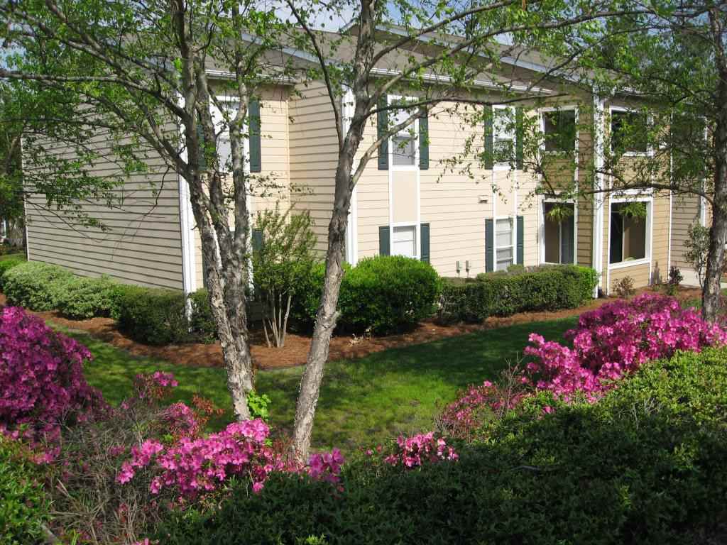 The Grove at Spring Valley - Photo 2 of 14