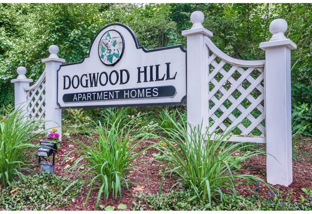 Dogwood Hill - Photo 2 of 19