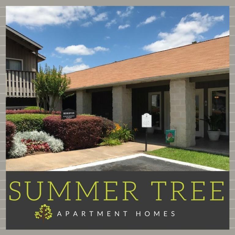 Summer Tree - Photo 2 of 15