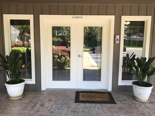 Summer Tree - Photo 3 of 15