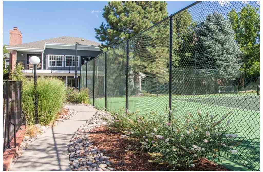 Autumn Chase - Photo 3 of 22