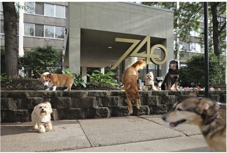 740 River Drive - Photo 2 of 20