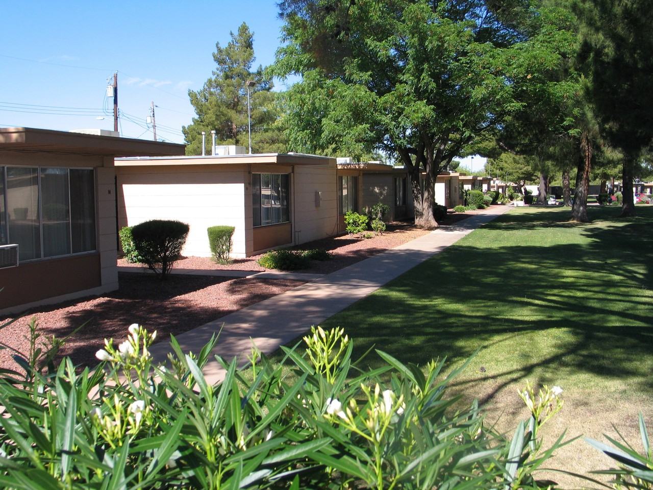 Commons on Stella - Photo 3 of 32