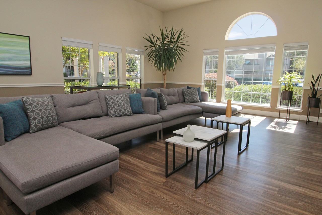 SHALIKO APARTMENTS - Photo 3 of 31