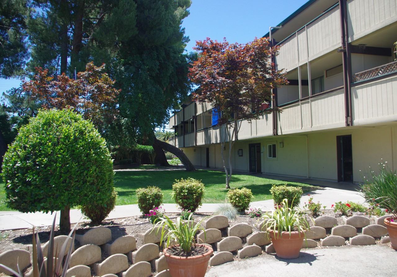 Arbol Verde - Photo 2 of 50