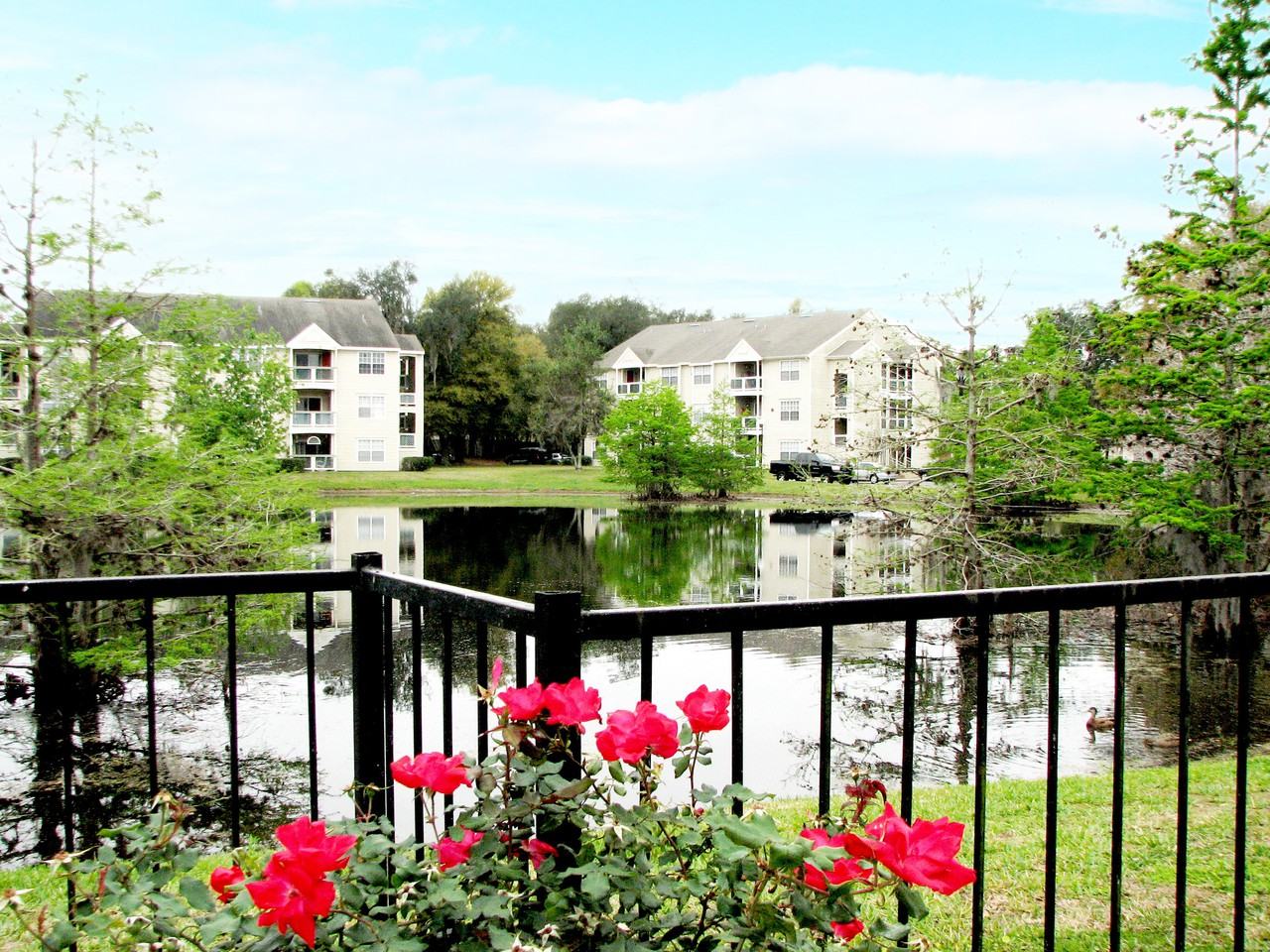 Advenir at the Oaks Apartments for Rent 3100 Old Winter Garden Rd