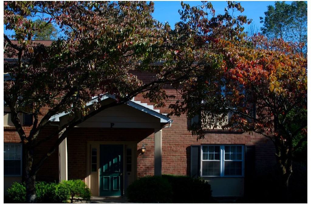 Pine Crest Apartments - Photo 3 of 8