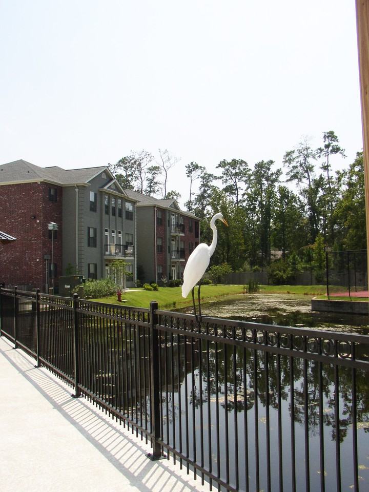 Mandeville Lake - Photo 2 of 41