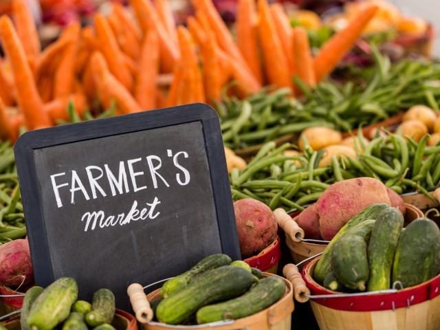 Lake Point - Photo 2 of 12