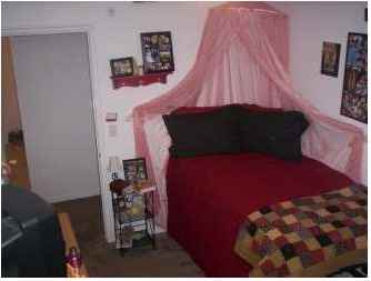 Bengal Creek - Photo 3 of 39