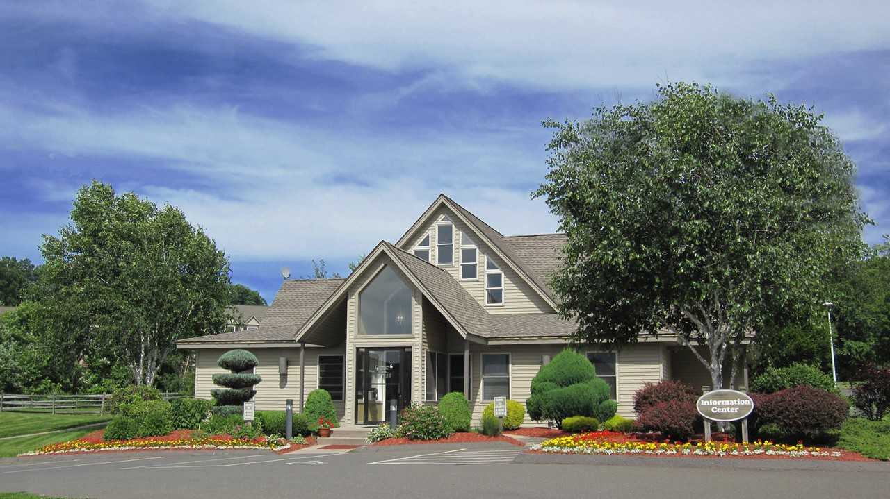 Autumn Chase - Photo 2 of 21