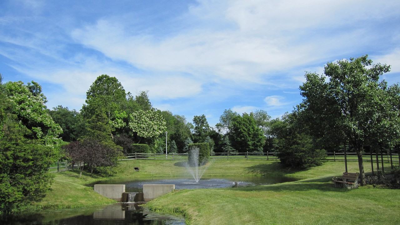 Autumn Chase - Photo 3 of 21