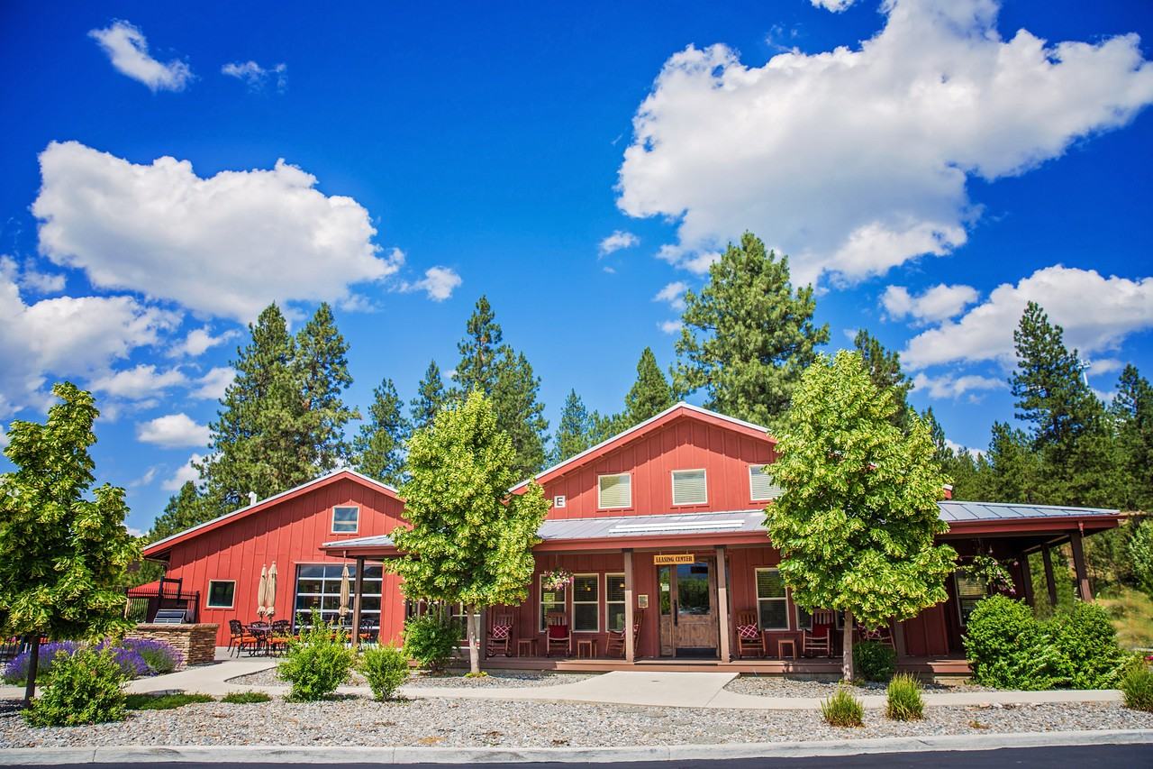 Pine Valley Ranch - Photo 3 of 50