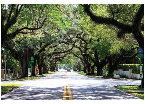 Gables 37 Grand - Photo 3 of 32