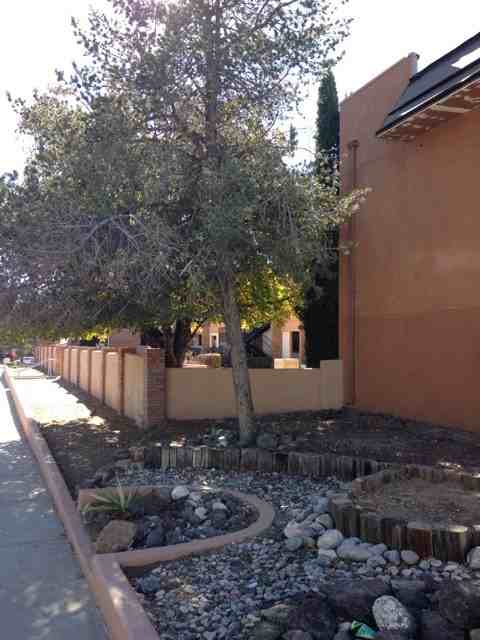 Candelaria Heights - Photo 2 of 23