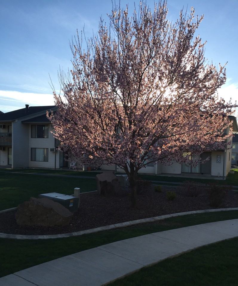 Kingsgate - Photo 3 of 42