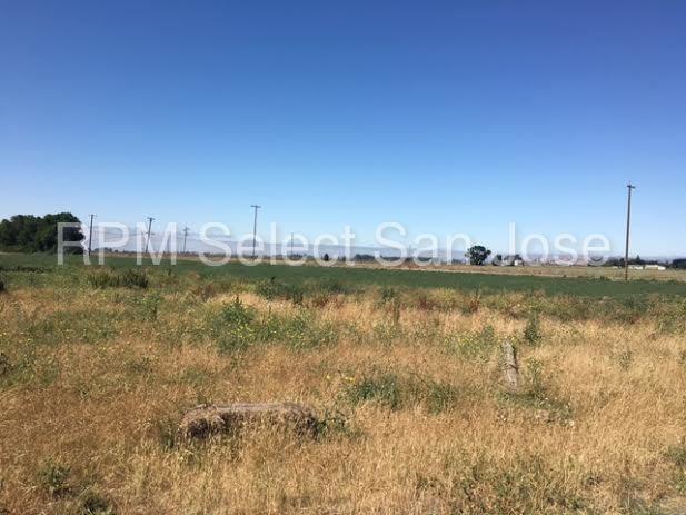 6282 Rio Dixon Rd - Photo 2 of 29