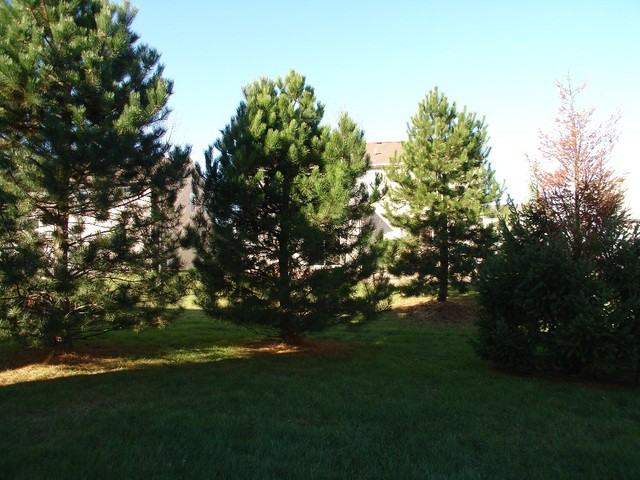 2956 Aberdeen Dr - Photo 2 of 25