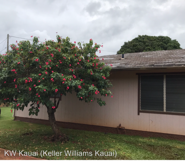 4769 Nonou Rd - Photo 2 of 2