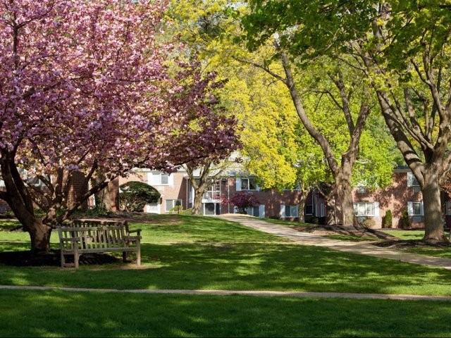 Short Hills Terrace - Photo 2 of 14